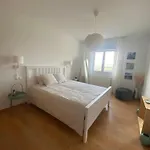 Fresno Vista Vakantiehuis *