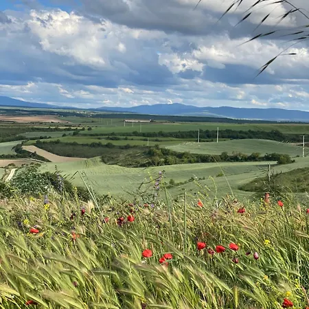 Vakantiehuis Fresno Vista *