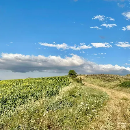 Vakantiehuis Fresno Vista *