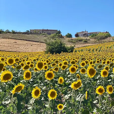 Fresno Vista Vakantiehuis Fresno de Rodilla