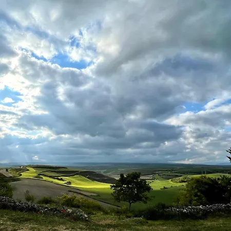 Fresno Vista * Fresno de Rodilla