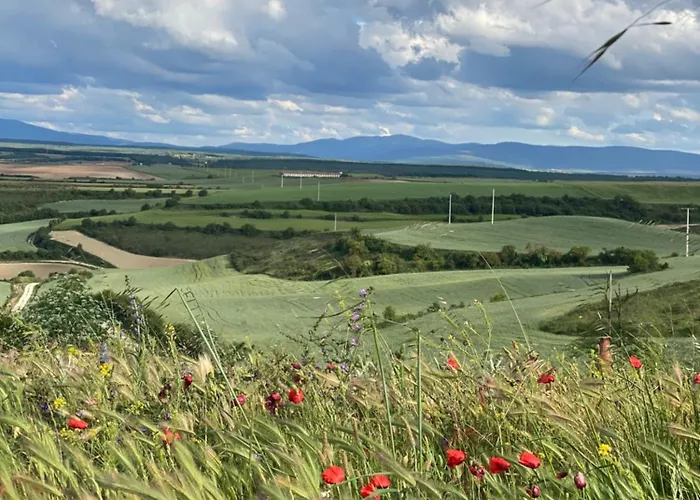 Holiday home Fresno Vista *