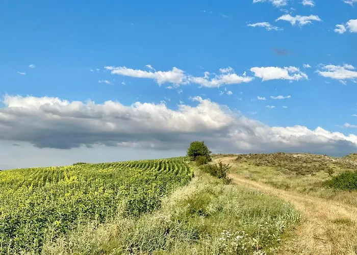 펜션 Fresno Vista *