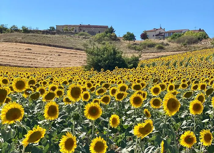 Fresno Vista Holiday home Fresno de Rodilla