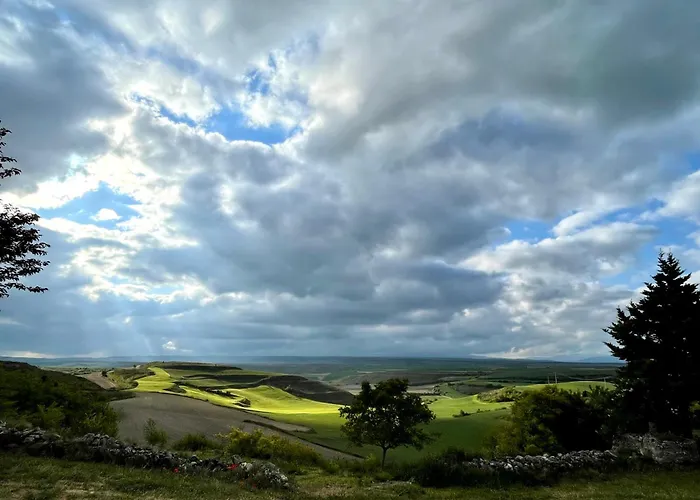 Fresno Vista * Fresno de Rodilla