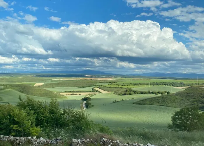 Fresno Vista Fresno de Rodilla